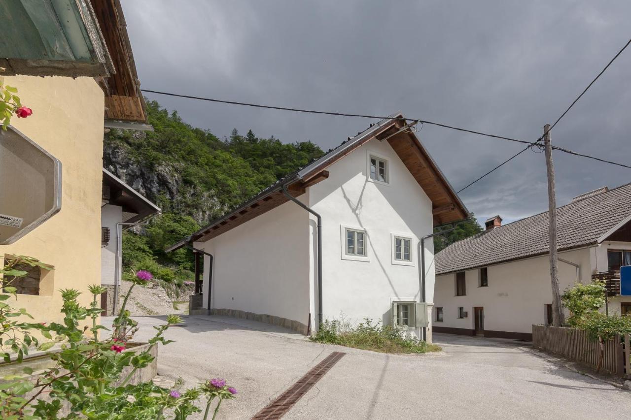 House Bella Apartment Bohinjska Bela Exterior photo